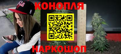 PSILOCYBIN Новозыбков