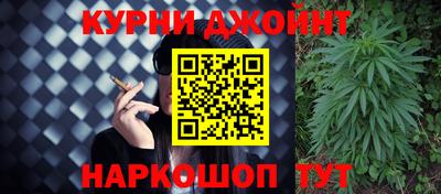 сатива Кингисепп