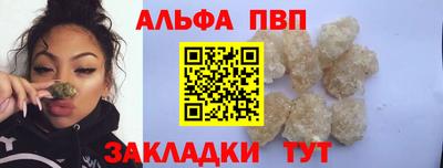 сатива Кингисепп