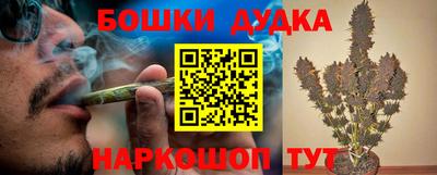 сатива Кингисепп