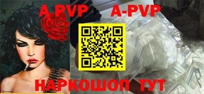 сатива Кингисепп