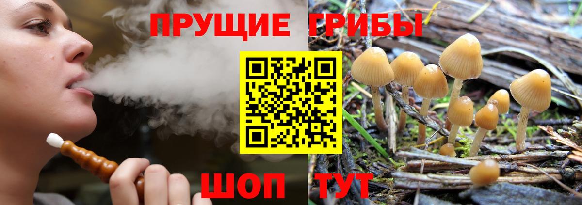 Галлюциногенные грибы MAGIC MUSHROOMS  Вход с VPN  Сокол 